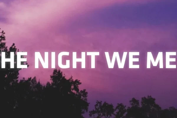 This image shown in Take Me Back to the Night We Met Lyrics