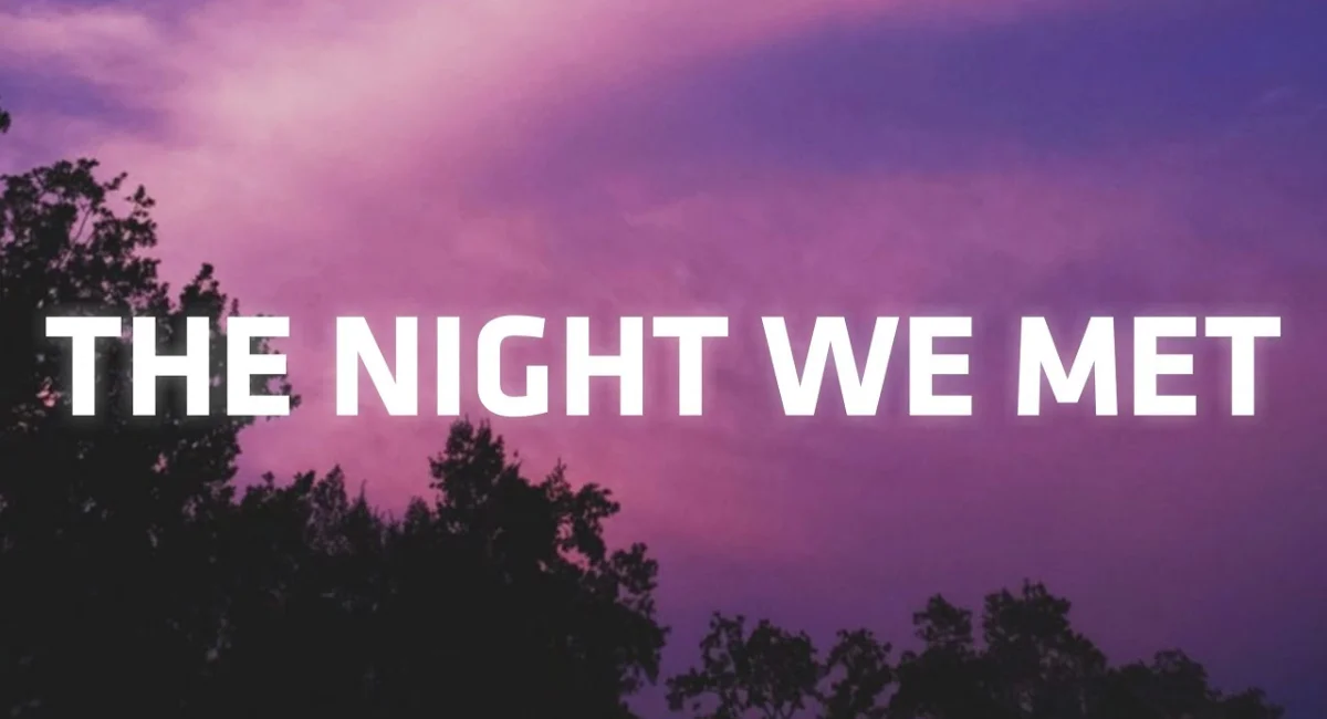 This image shown in Take Me Back to the Night We Met Lyrics